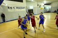 Basket 443031